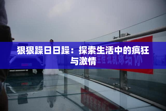 狠狠躁日日躁：探索生活中的疯狂与激情