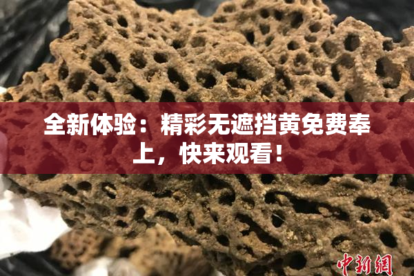 全新体验：精彩无遮挡黄免费奉上，快来观看！