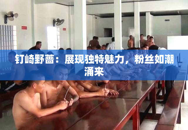 钉崎野蔷：展现独特魅力，粉丝如潮涌来