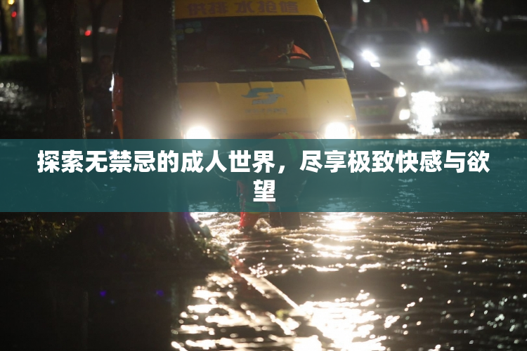 探索无禁忌的成人世界，尽享极致快感与欲望