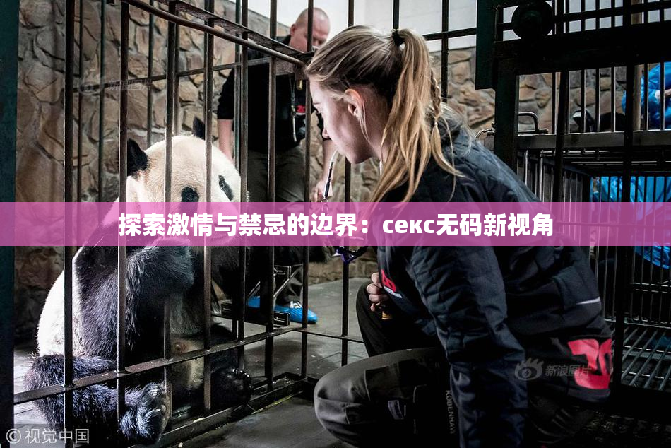 探索激情与禁忌的边界：секс无码新视角