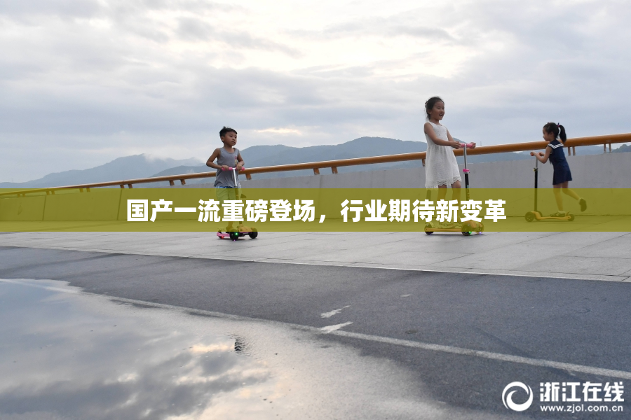 国产一流重磅登场，行业期待新变革