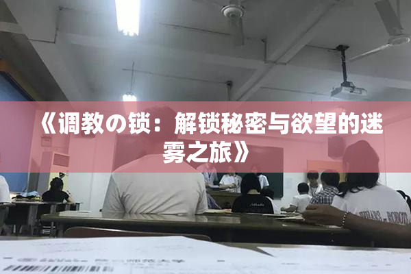 《调教の锁：解锁秘密与欲望的迷雾之旅》