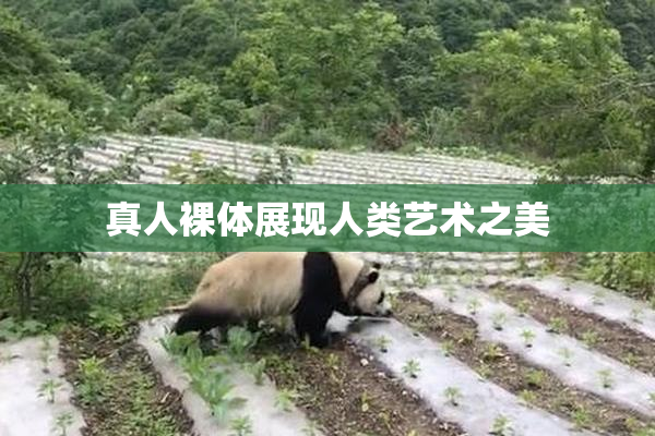 真人裸体展现人类艺术之美