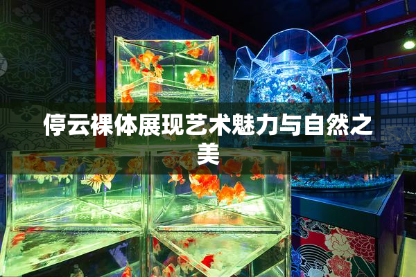 停云裸体展现艺术魅力与自然之美