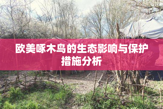欧美啄木鸟的生态影响与保护措施分析