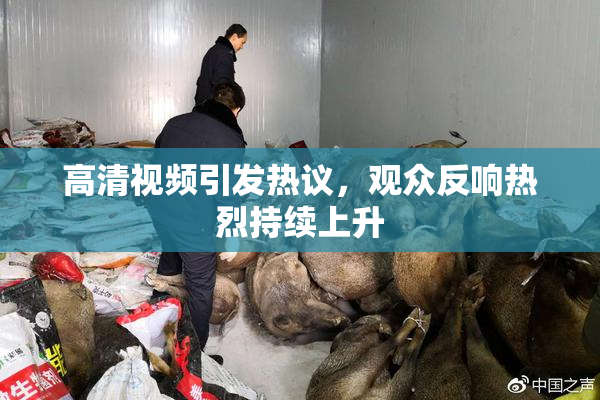 高清视频引发热议，观众反响热烈持续上升