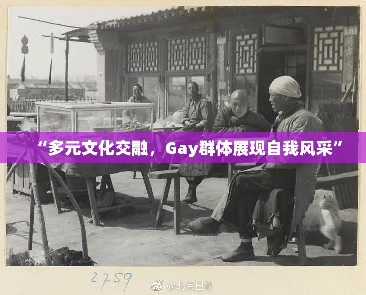 “多元文化交融，Gay群体展现自我风采”