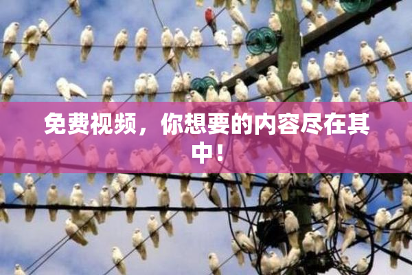 免费视频，你想要的内容尽在其中！