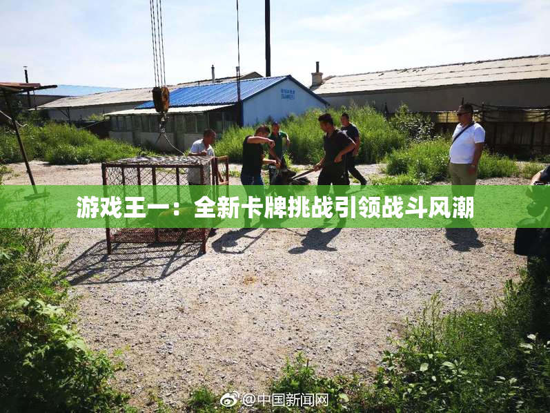 游戏王一：全新卡牌挑战引领战斗风潮