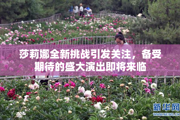 莎莉娜全新挑战引发关注，备受期待的盛大演出即将来临