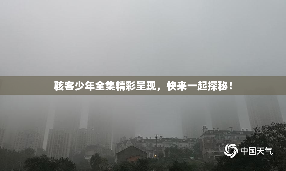 骇客少年全集精彩呈现，快来一起探秘！