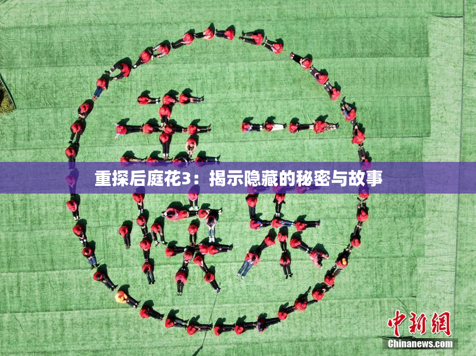 重探后庭花3：揭示隐藏的秘密与故事