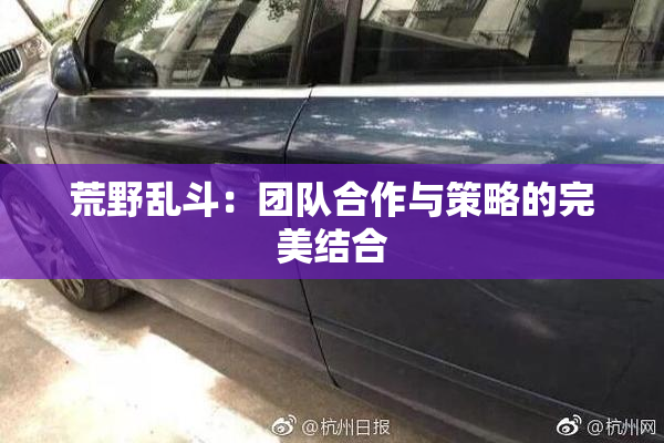 荒野乱斗：团队合作与策略的完美结合