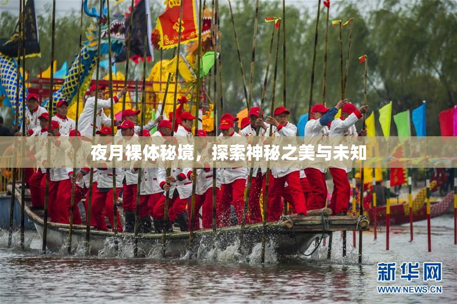 夜月裸体秘境，探索神秘之美与未知