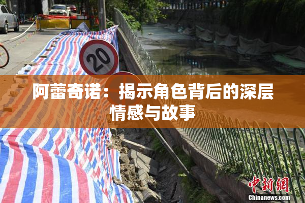 阿蕾奇诺：揭示角色背后的深层情感与故事