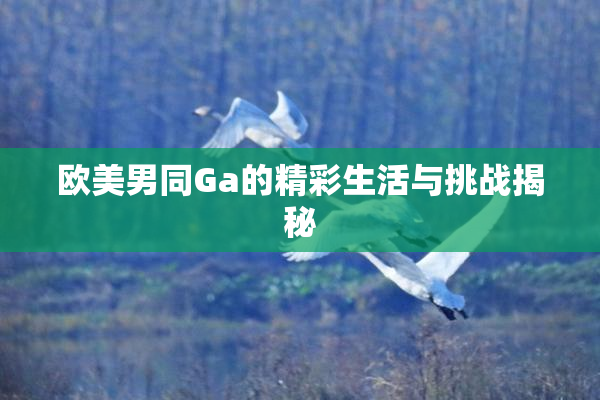 欧美男同Ga的精彩生活与挑战揭秘