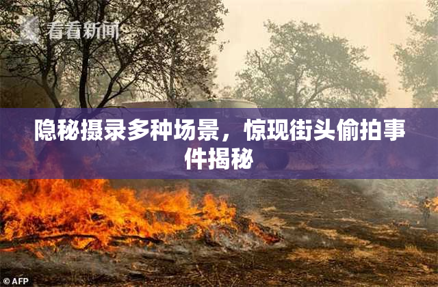 隐秘摄录多种场景，惊现街头偷拍事件揭秘
