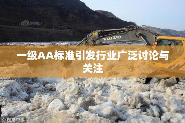 一级AA标准引发行业广泛讨论与关注