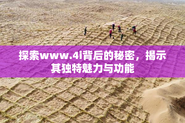 探索www.4i背后的秘密，揭示其独特魅力与功能