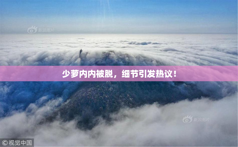 少萝内内被脱，细节引发热议！