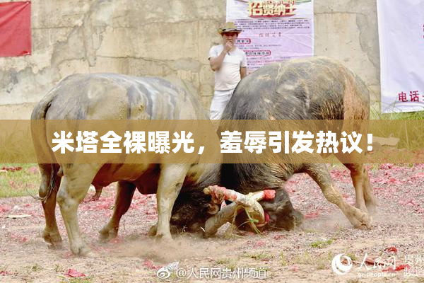 米塔全裸曝光，羞辱引发热议！