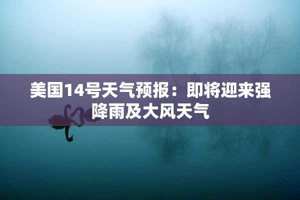 美国14号天气预报：即将迎来强降雨及大风天气
