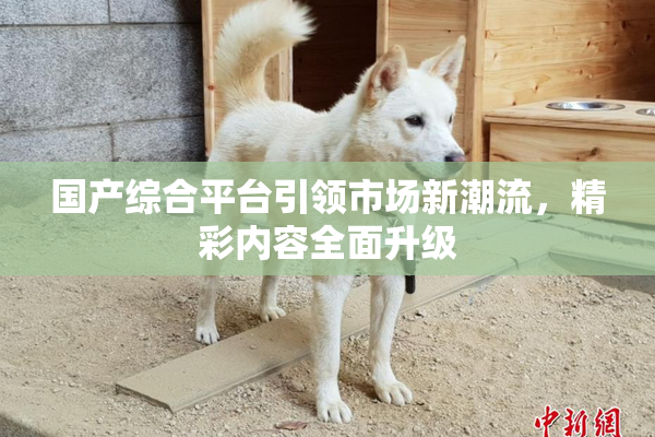 国产综合平台引领市场新潮流，精彩内容全面升级