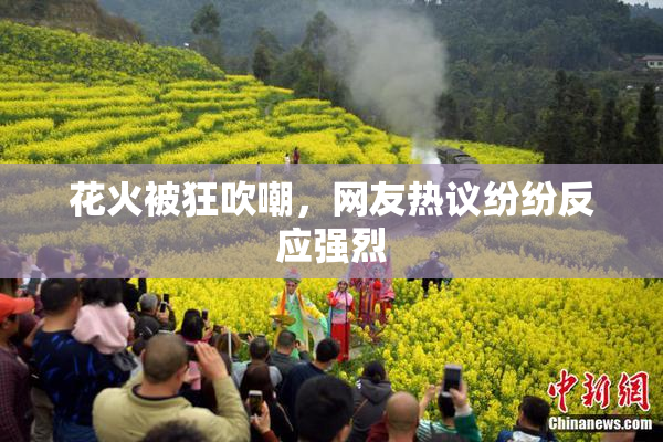 花火被狂吹嘲，网友热议纷纷反应强烈