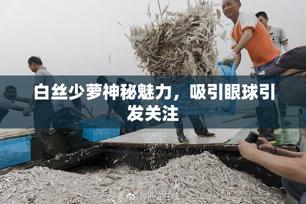 白丝少萝神秘魅力，吸引眼球引发关注