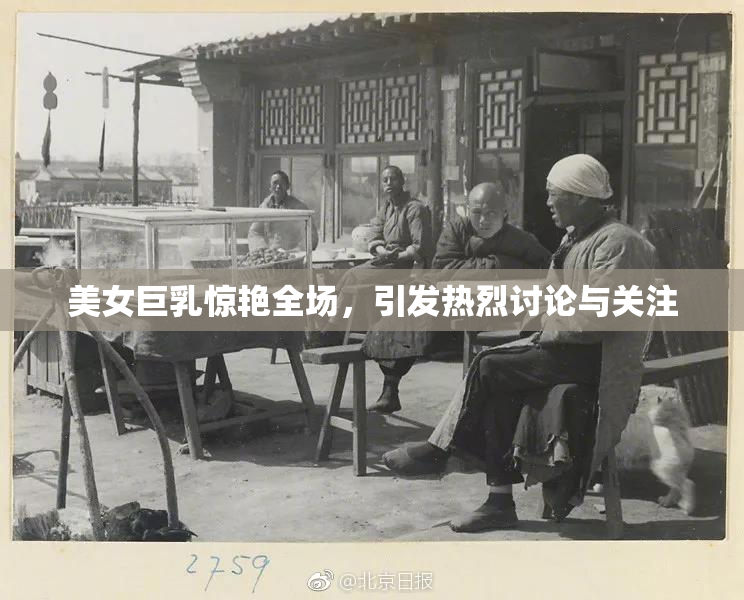美女巨乳惊艳全场，引发热烈讨论与关注