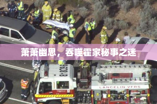 萧萧幽思，吞噬霍家秘事之迷
