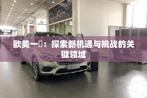 欧美一級：探索新机遇与挑战的关键领域