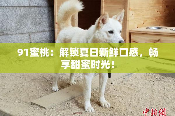 91蜜桃：解锁夏日新鲜口感，畅享甜蜜时光！