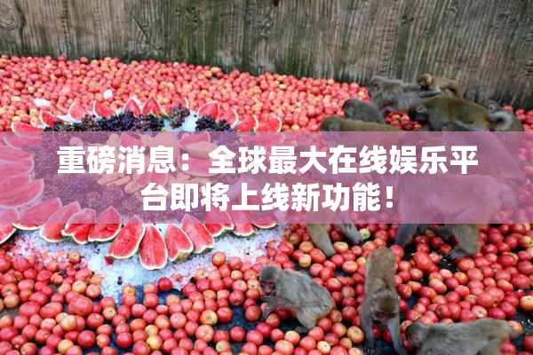 重磅消息：全球最大在线娱乐平台即将上线新功能！