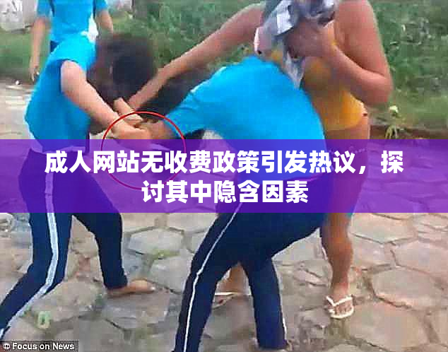 成人网站无收费政策引发热议，探讨其中隐含因素