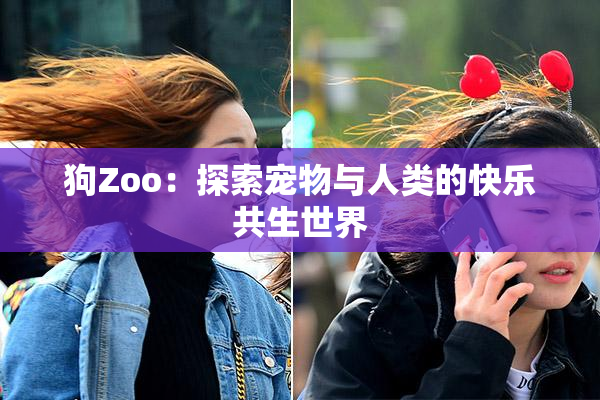 狗Zoo：探索宠物与人类的快乐共生世界