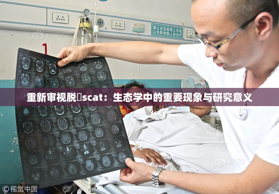 重新审视脱糞scat：生态学中的重要现象与研究意义