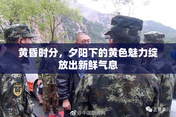 黄昏时分，夕阳下的黄色魅力绽放出新鲜气息
