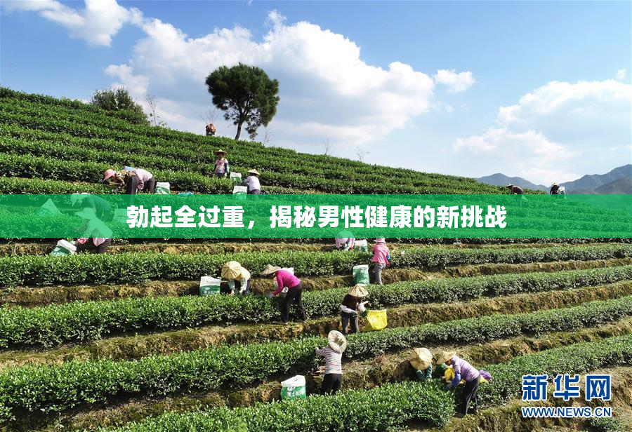 勃起全过重，揭秘男性健康的新挑战