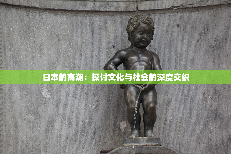 日本的高潮：探讨文化与社会的深度交织