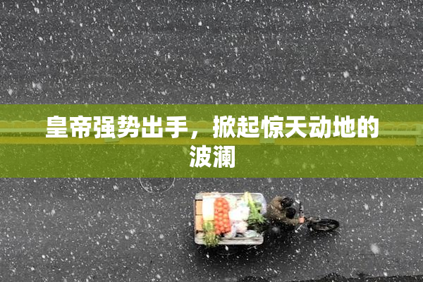 皇帝强势出手，掀起惊天动地的波澜