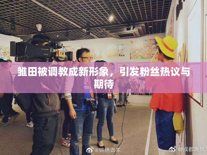 雏田被调教成新形象，引发粉丝热议与期待