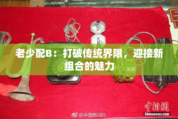 老少配B：打破传统界限，迎接新组合的魅力