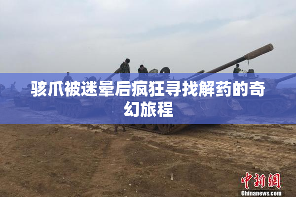 骇爪被迷晕后疯狂寻找解药的奇幻旅程