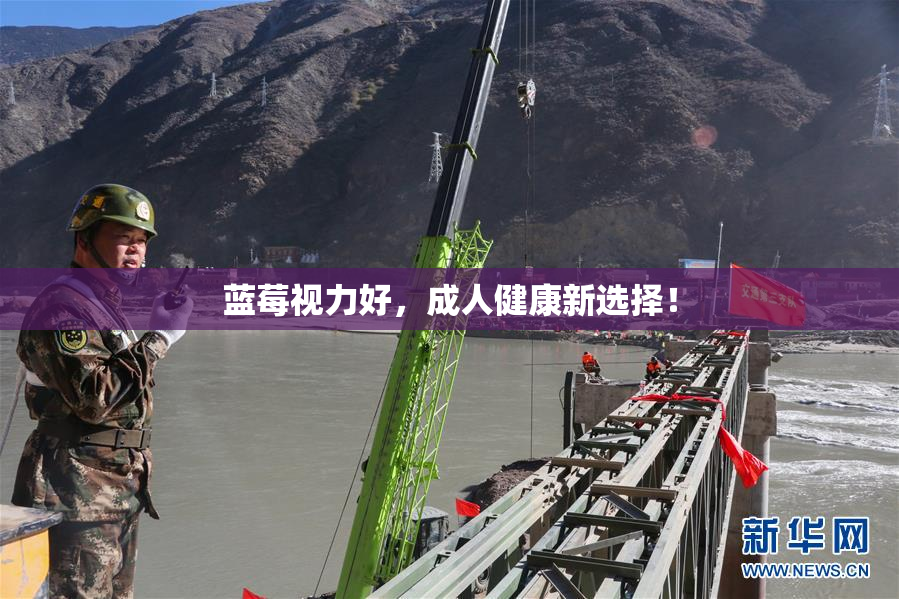 蓝莓视力好，成人健康新选择！