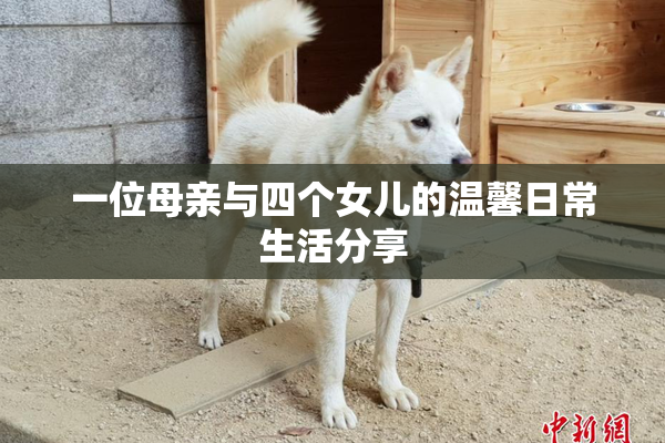 一位母亲与四个女儿的温馨日常生活分享