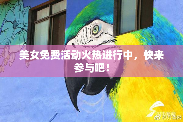 美女免费活动火热进行中，快来参与吧！