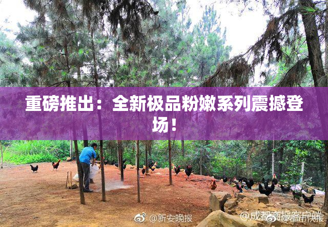重磅推出：全新极品粉嫩系列震撼登场！