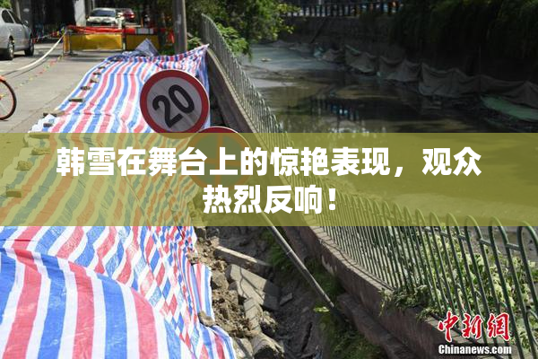 韩雪在舞台上的惊艳表现，观众热烈反响！